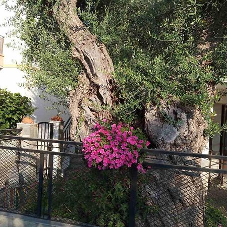 Aegean Balcony Villa Skala Kallirakhis Ngoại thất bức ảnh